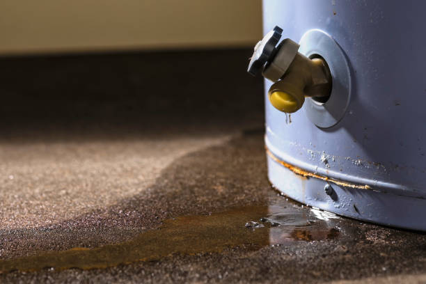 Best Carpet water damage restoration  in Peabody, MA