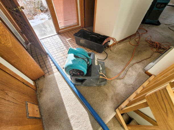 Best Water damage contractors near me  in Peabody, MA
