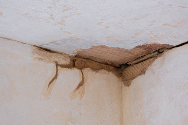 Best Water damage contractors near me  in Peabody, MA