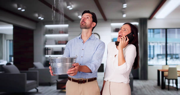 Best Flood damage cleanup  in Peabody, MA